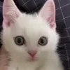 🤨