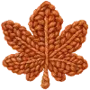 🍁