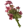 🕊️