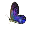 ♾