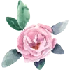 🌺