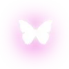 🦋