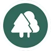 🌲