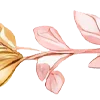 🌸
