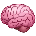 🧠