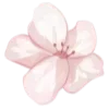 🌸