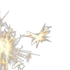 🌟