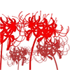 🌹