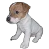 🐶