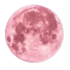 🌚