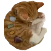 🐈