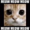 🐈