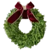 🎄