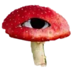 🍄