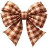 🎀
