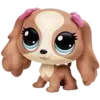 🐶