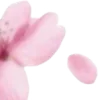 ⭐