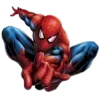 🕸