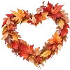 🍂
