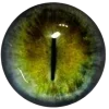 👁️