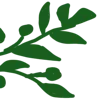 🍃