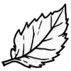 🌿