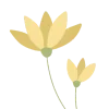 🌷