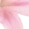 ⭐