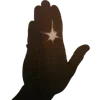 🌟