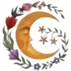 🌜