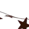 🌟