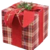 🎁
