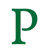 🇸🇦