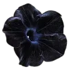 ♾