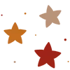 🌟