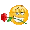 🌹