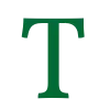 🇸🇦
