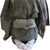🪷