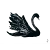 🦢