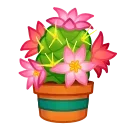 💐