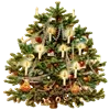 🌲