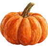 🍁