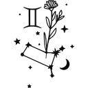 ♊️