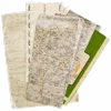 🗺️