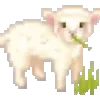 🐑