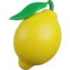 🍋