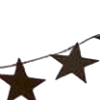 🌟