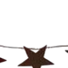 🌟