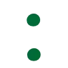 🇸🇦