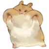 🤎